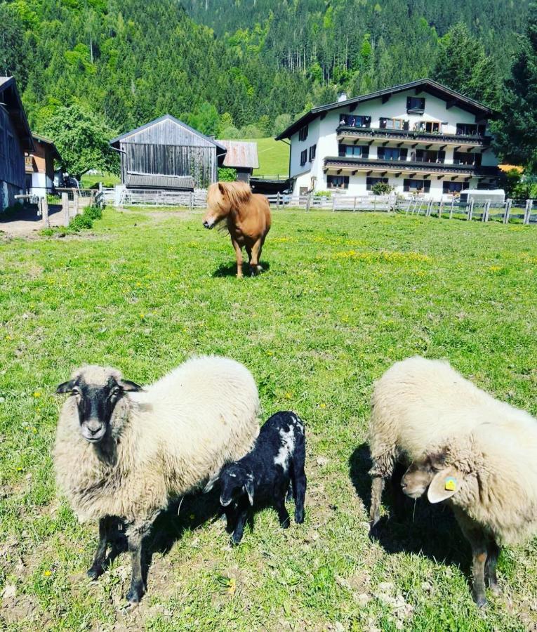 Hettlerhof Hotell Maishofen Eksteriør bilde